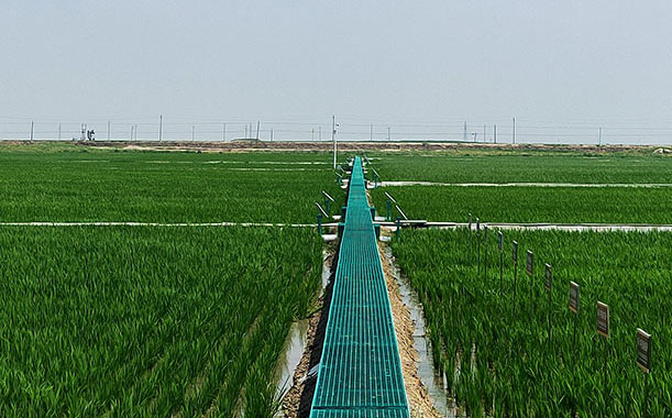 襯氟閥門的襯里材料說明及（襯氟閥門使用范圍）